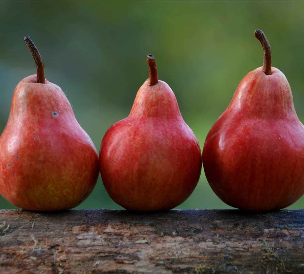 Image of three red pears on a piece of wood.